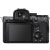 Sony Alpha a7S III Mirrorless Digital Camera (Body Only)