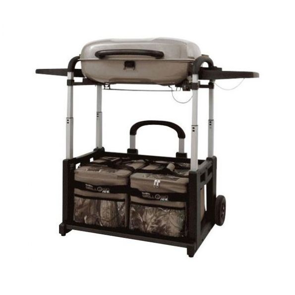 char broil grill2go ice