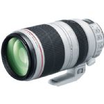 Canon EF 100-400mm f/4.5-5.6L IS II USM Lens