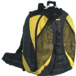 Lowepro DryZone 200 Backpack (Yellow)